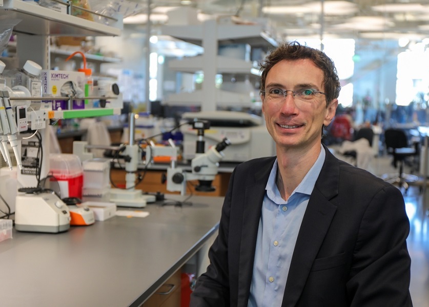 Imagen: Stuart Ibsen, Ph.D., dirigió el equipo que desarrolló una nueva técnica que utiliza una sacudida electrónica y nanopartículas para revelar la señal reveladora de una forma insidiosa de cáncer (Fotografía cortesía de OHSU/Christine Torres Hicks)